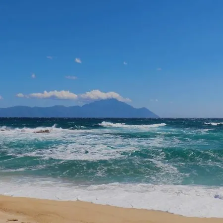 Avli & No2 萨尔蒂