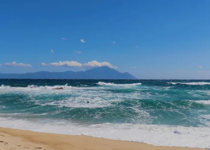 Avli & No2 サルティ